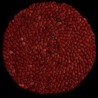 PERLETTA STRUCTURES ROUNDABOUT ROOD 